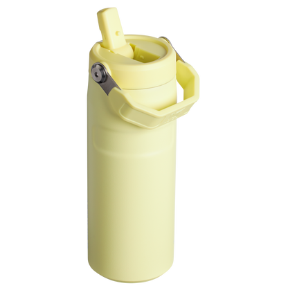 The IceFlow™ Bottle with Flip Straw Lid | 16 OZ